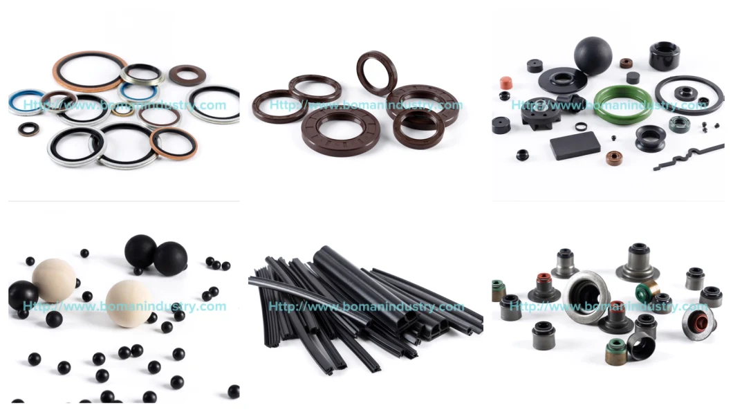 Oil Seal/Bonded Seal/O Ring/Silicone Rubber Part Product/Customize Rubber Seal for Automotive Industry