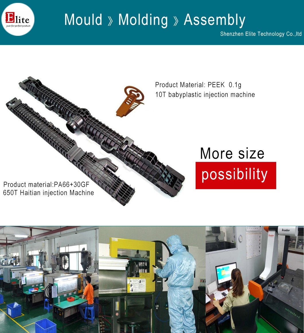 Pes PPSU PFA High Performance Plastic Product Injection Mould and Molding